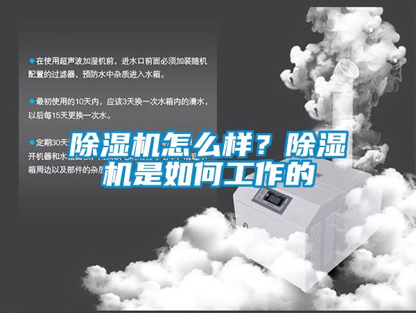 91抖音免费看片怎么样？91抖音免费看片是如何工作的