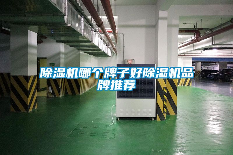 91抖音免费看片哪个牌子好91抖音免费看片品牌推荐