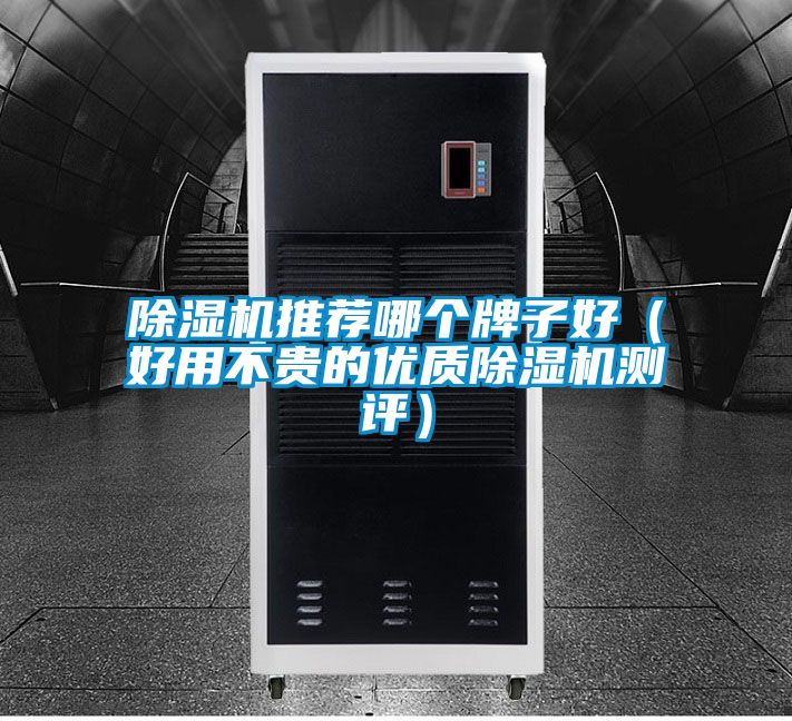 91抖音免费看片推荐哪个牌子好（好用不贵的优质91抖音免费看片测评）
