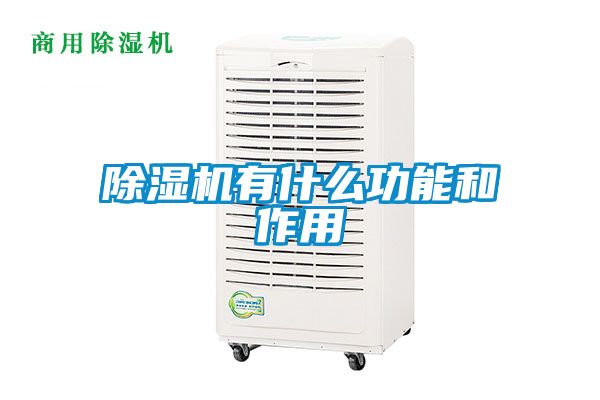 91抖音免费看片有什么功能和作用