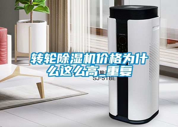 转轮91抖音免费看片价格为什么这么高_重复