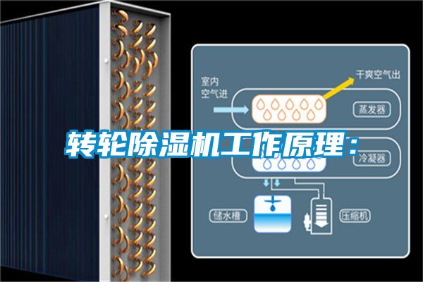 转轮91抖音免费看片工作原理：