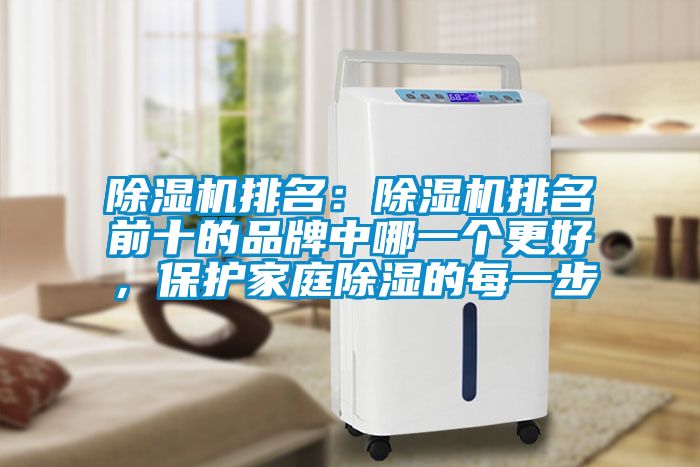 91抖音免费看片排名：91抖音免费看片排名前十的品牌中哪一个更好，保护家庭除湿的每一步