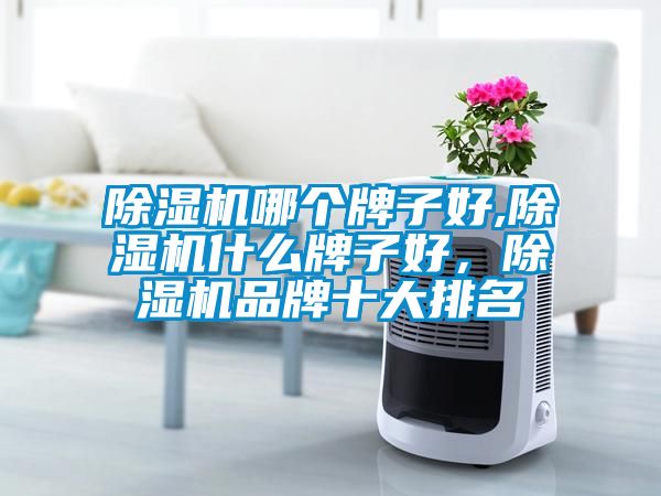 91抖音免费看片哪个牌子好,91抖音免费看片什么牌子好，91抖音免费看片品牌十大排名