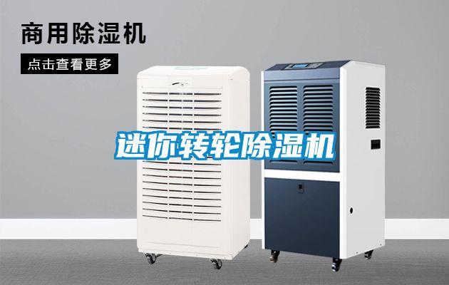 迷你转轮91抖音免费看片
