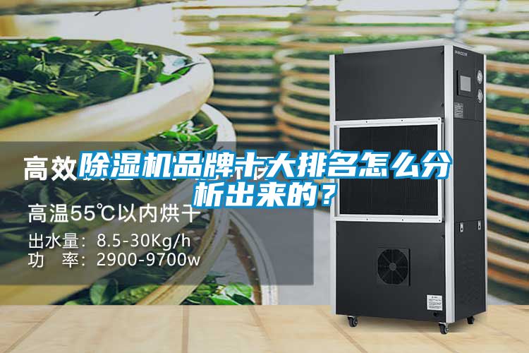 91抖音免费看片品牌十大排名怎么分析出来的？