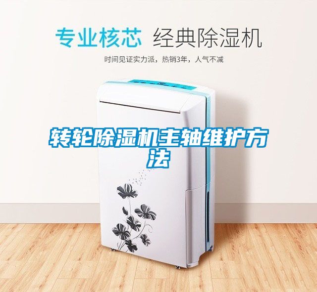 转轮91抖音免费看片主轴维护方法