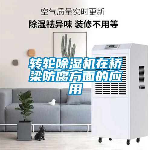 转轮91抖音免费看片在桥梁防腐方面的应用