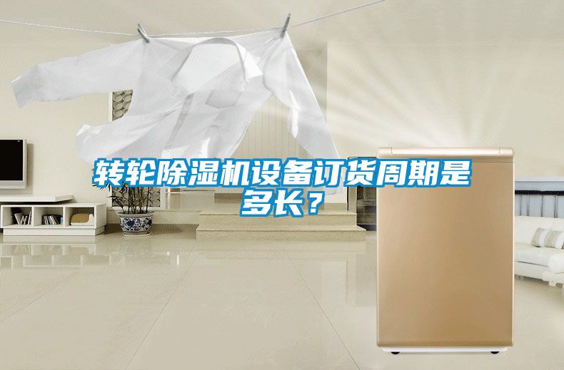 转轮91抖音免费看片设备订货周期是多长？