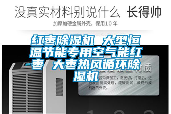 红枣91抖音免费看片 大型恒温节能专用空气能红枣 大枣热风循环91抖音免费看片