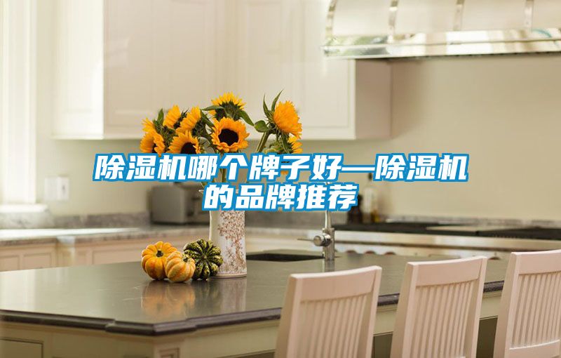 91抖音免费看片哪个牌子好—91抖音免费看片的品牌推荐