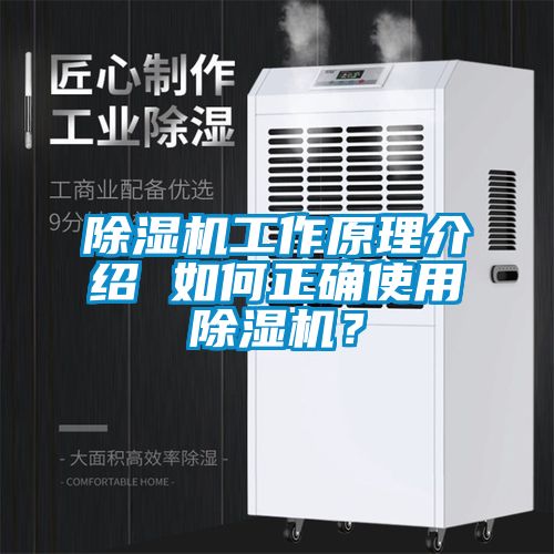 91抖音免费看片工作原理介绍 如何正确使用91抖音免费看片？