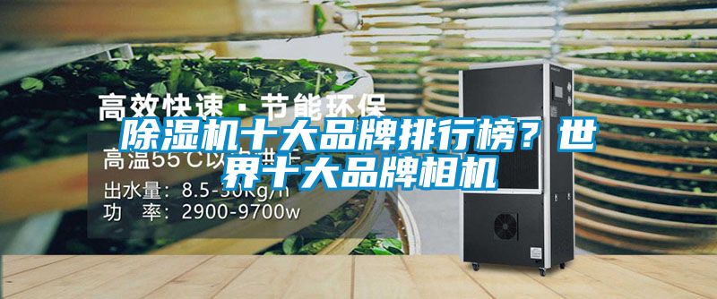 91抖音免费看片十大品牌排行榜？世界十大品牌相机