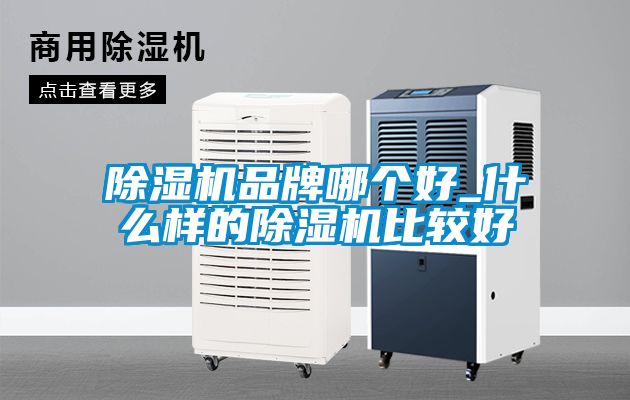 91抖音免费看片品牌哪个好_什么样的91抖音免费看片比较好