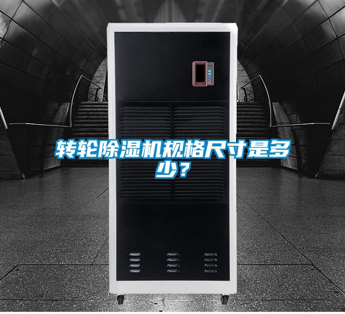 转轮91抖音免费看片规格尺寸是多少？