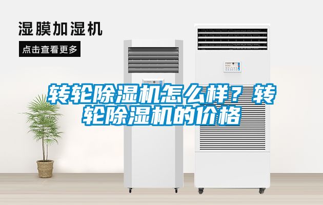 转轮91抖音免费看片怎么样？转轮91抖音免费看片的价格
