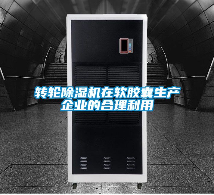 转轮91抖音免费看片在软胶囊生产企业的合理利用