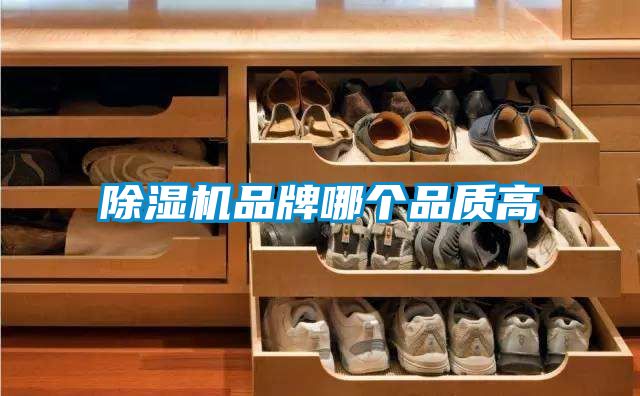 91抖音免费看片品牌哪个品质高