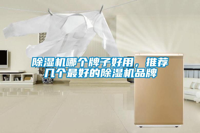 91抖音免费看片哪个牌子好用，推荐几个最好的91抖音免费看片品牌