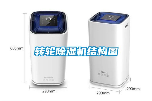 转轮91抖音免费看片结构图