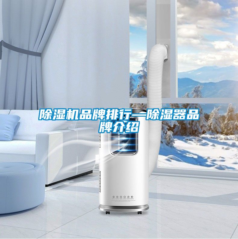 91抖音免费看片品牌排行—除湿器品牌介绍