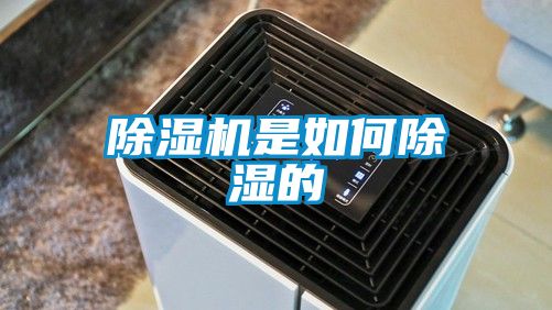 91抖音免费看片是如何除湿的