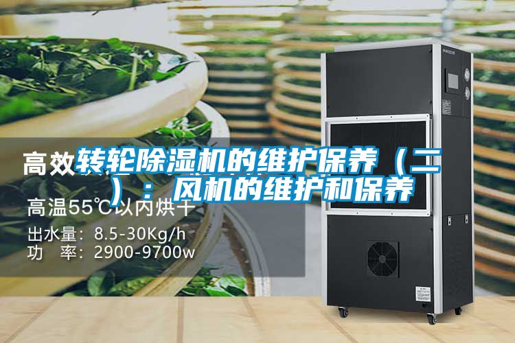 转轮91抖音免费看片的维护保养（二）：风机的维护和保养