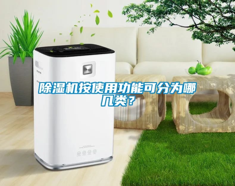 91抖音免费看片按使用功能可分为哪几类？