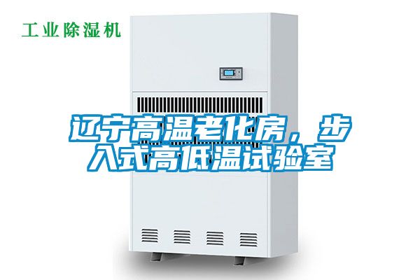 辽宁高温老化房，步入式高低温试验室