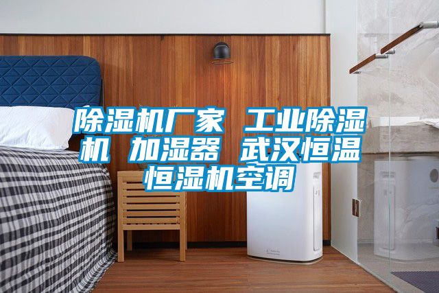91抖音免费看片厂家 工业91抖音免费看片 加湿器 武汉恒温恒湿机空调