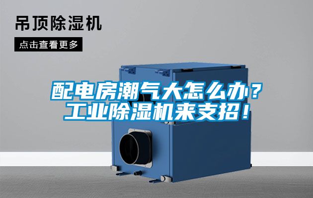 配电房潮气大怎么办？工业91抖音免费看片来支招！