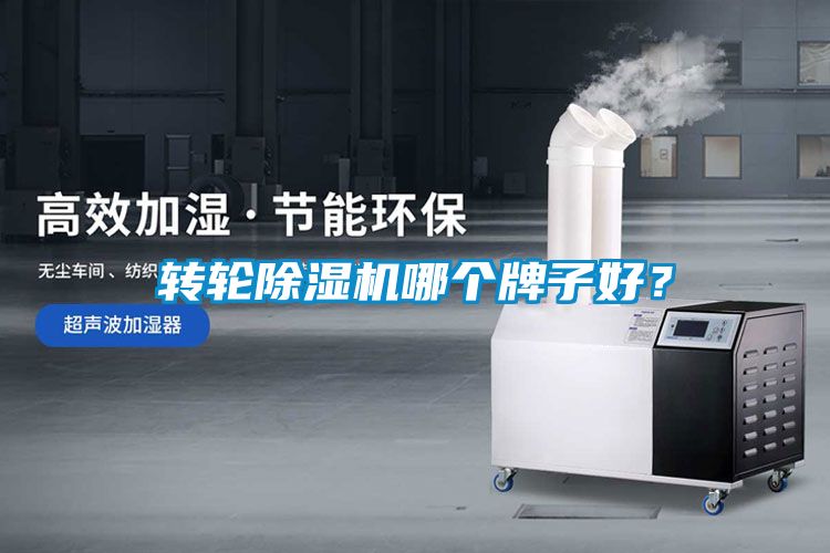 转轮91抖音免费看片哪个牌子好？