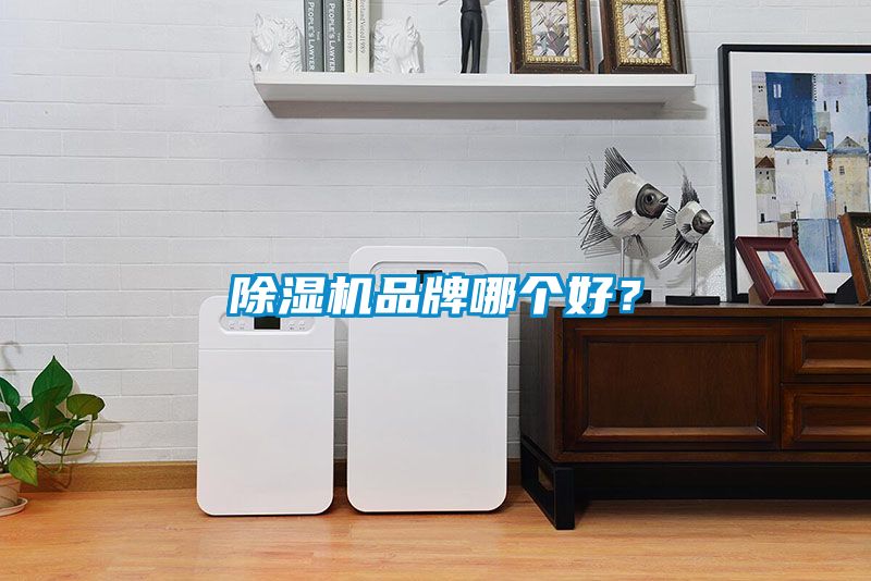 91抖音免费看片品牌哪个好？