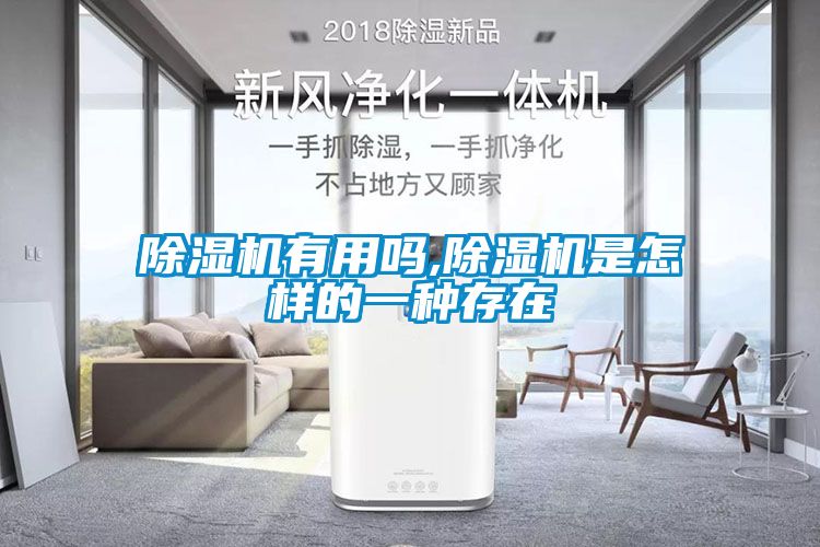 91抖音免费看片有用吗,91抖音免费看片是怎样的一种存在