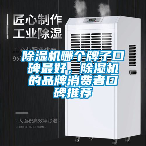 91抖音免费看片哪个牌子口碑最好，91抖音免费看片的品牌消费者口碑推荐