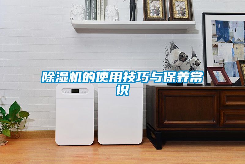91抖音免费看片的使用技巧与保养常识