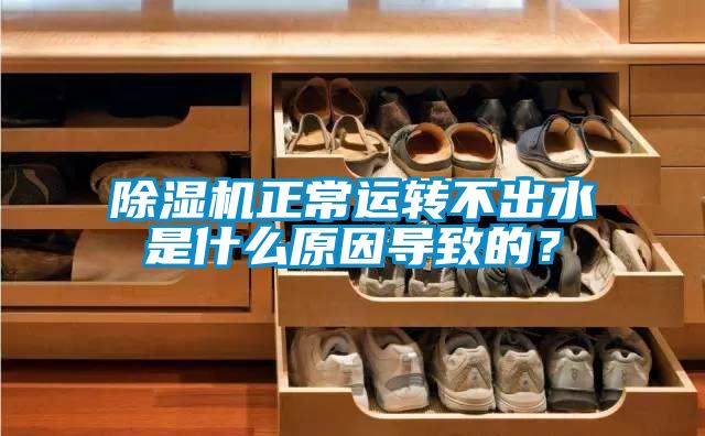 91抖音免费看片正常运转不出水是什么原因导致的？