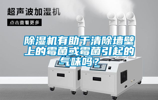 91抖音免费看片有助于清除墙壁上的霉菌或霉菌引起的气味吗？