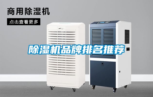 91抖音免费看片品牌排名推荐