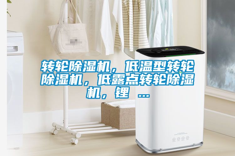 转轮91抖音免费看片，低温型转轮91抖音免费看片，低露点转轮91抖音免费看片，锂 ...