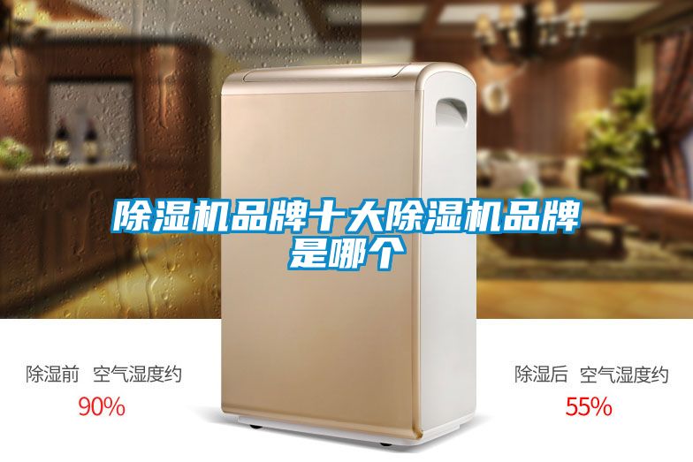 91抖音免费看片品牌十大91抖音免费看片品牌是哪个
