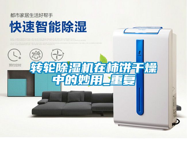 转轮91抖音免费看片在柿饼干燥中的妙用_重复