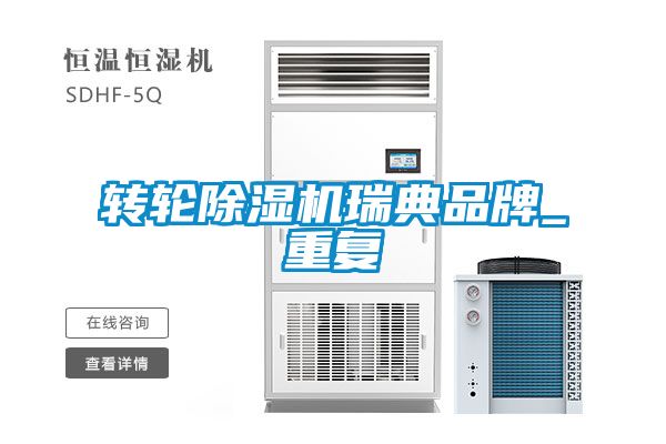 转轮91抖音免费看片瑞典品牌_重复