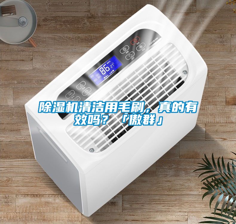 91抖音免费看片清洁用毛刷，真的有效吗？「傲群」