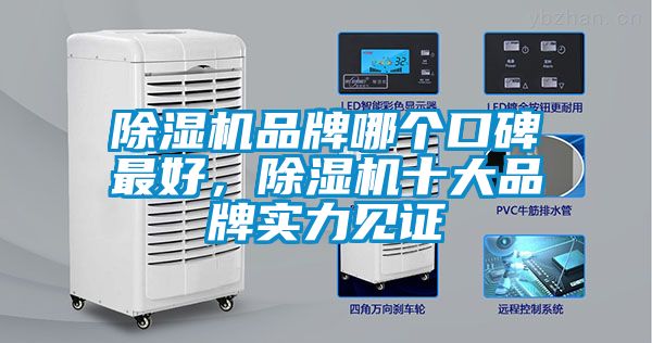 91抖音免费看片品牌哪个口碑最好，91抖音免费看片十大品牌实力见证