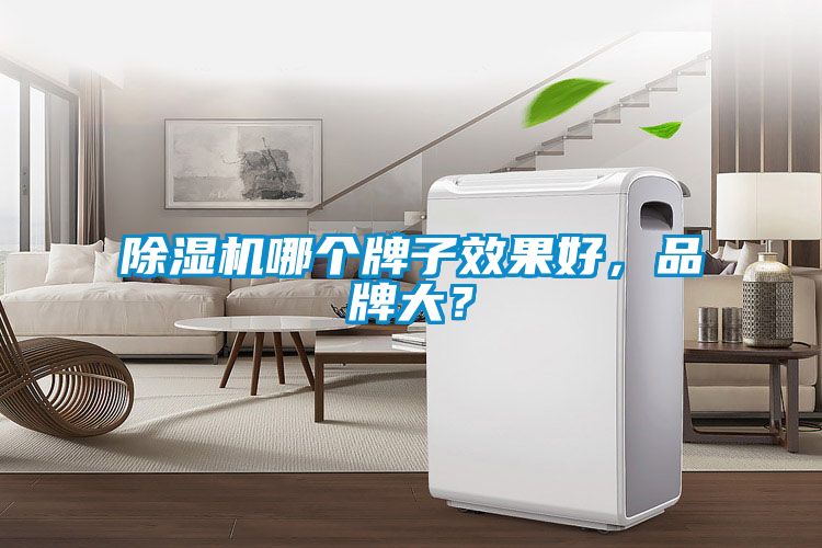 91抖音免费看片哪个牌子效果好，品牌大？
