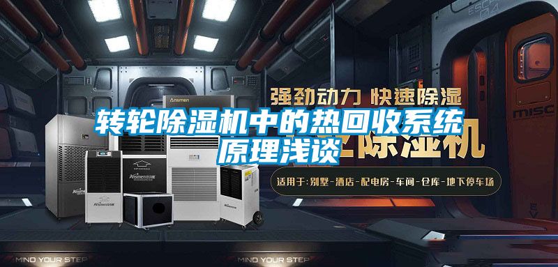转轮91抖音免费看片中的热回收系统原理浅谈