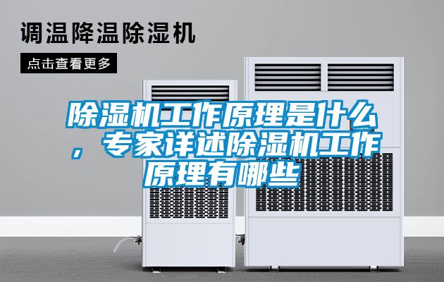 91抖音免费看片工作原理是什么，专家详述91抖音免费看片工作原理有哪些