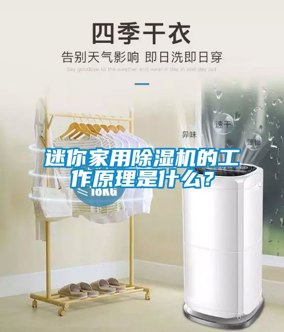 迷你家用91抖音免费看片的工作原理是什么？