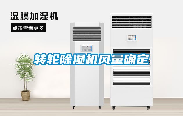 转轮91抖音免费看片风量确定